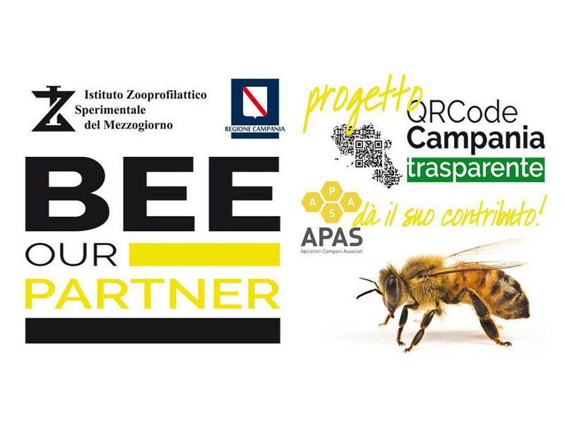 QRcode, apicoltura campania, miele campania, arnie, polline, miele, miele italiano, apicoltura zeffiro, propoli, pappa reale, polline, nocciomiele
